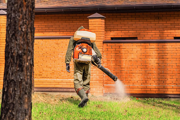 Bed Bug Clearance Verification and Documentation in Greenville